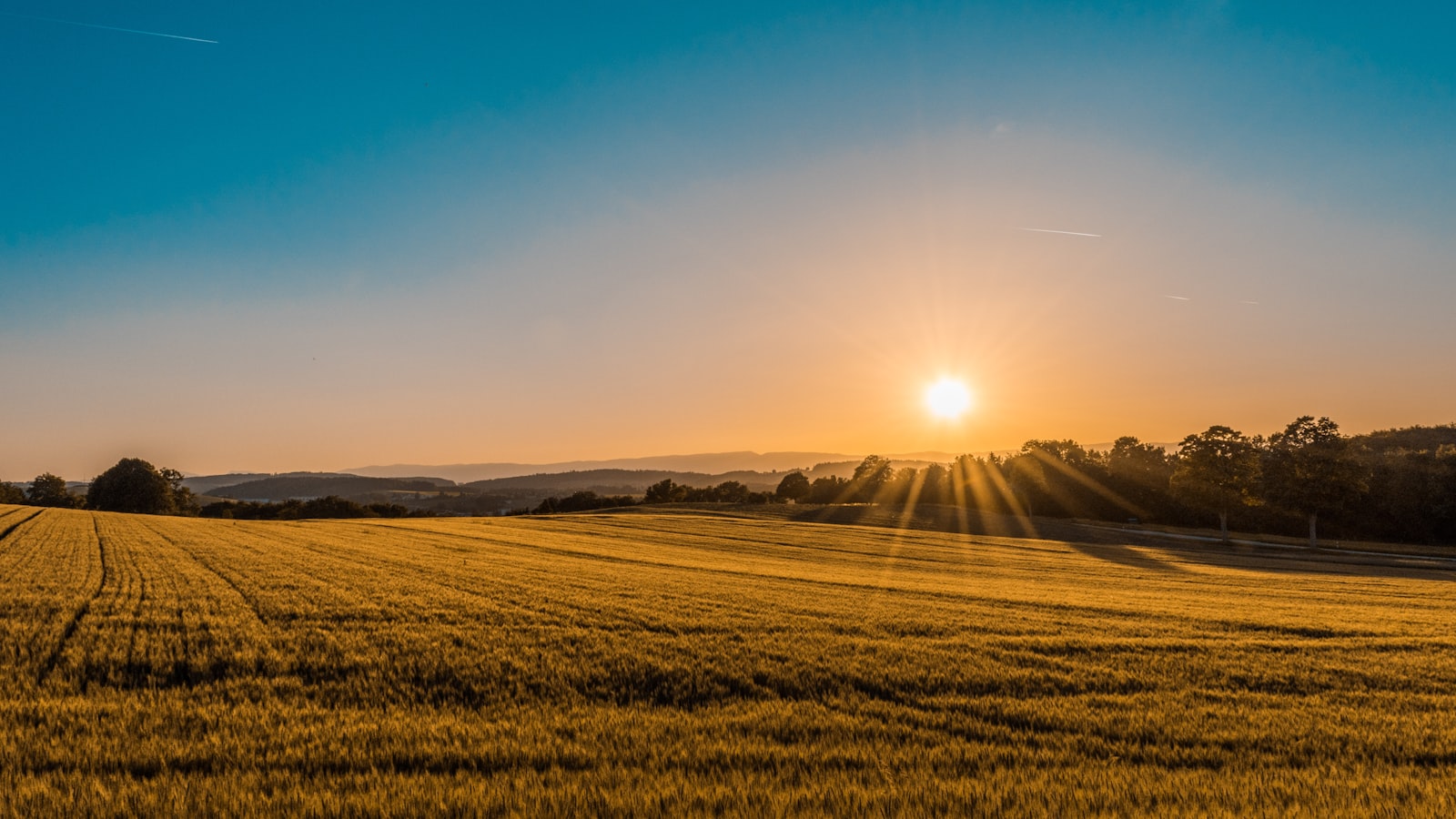 Lavoura ao entardecer — crédito e dívida rural